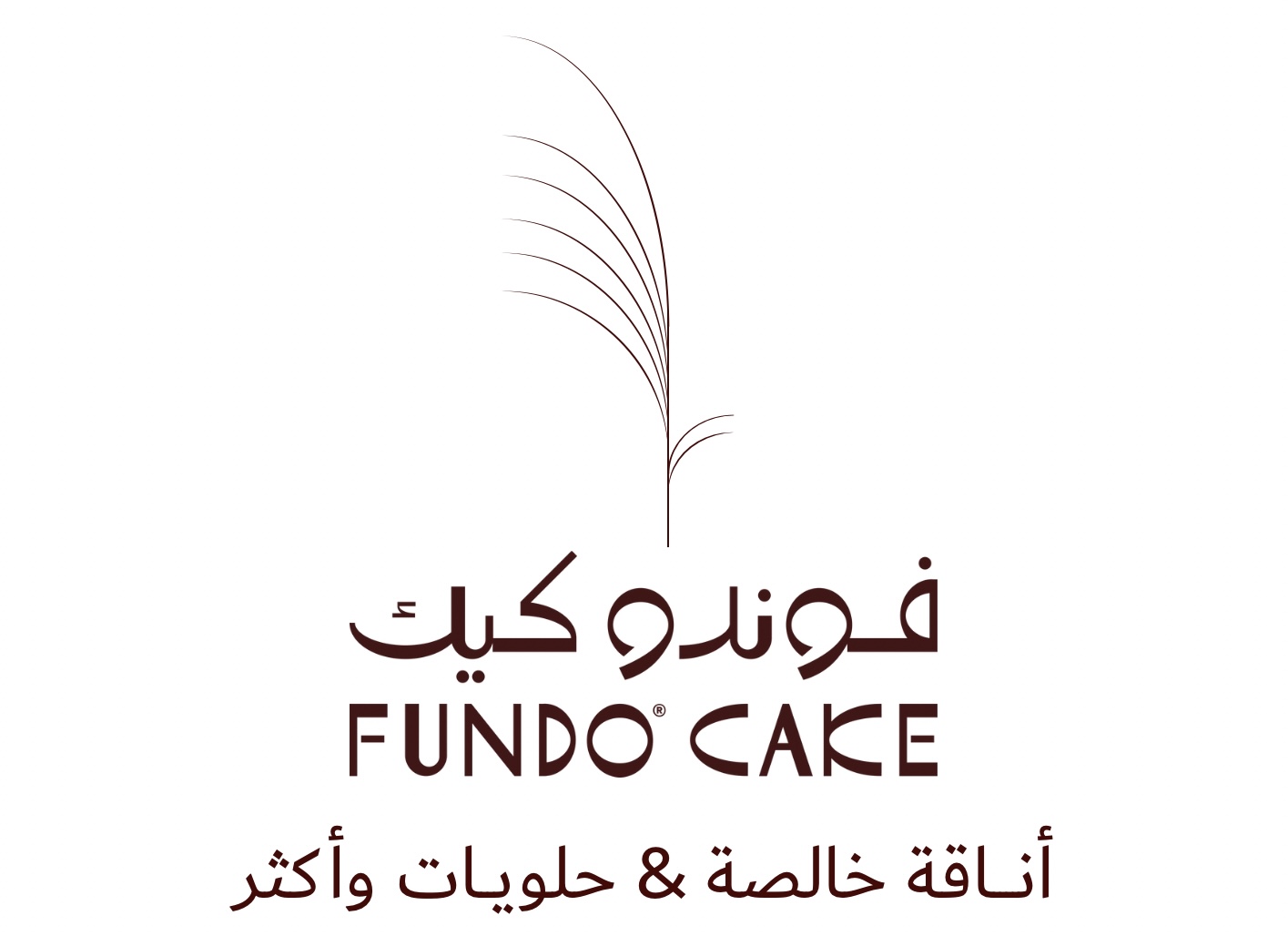 فوندو كيك |Cake Fundo
